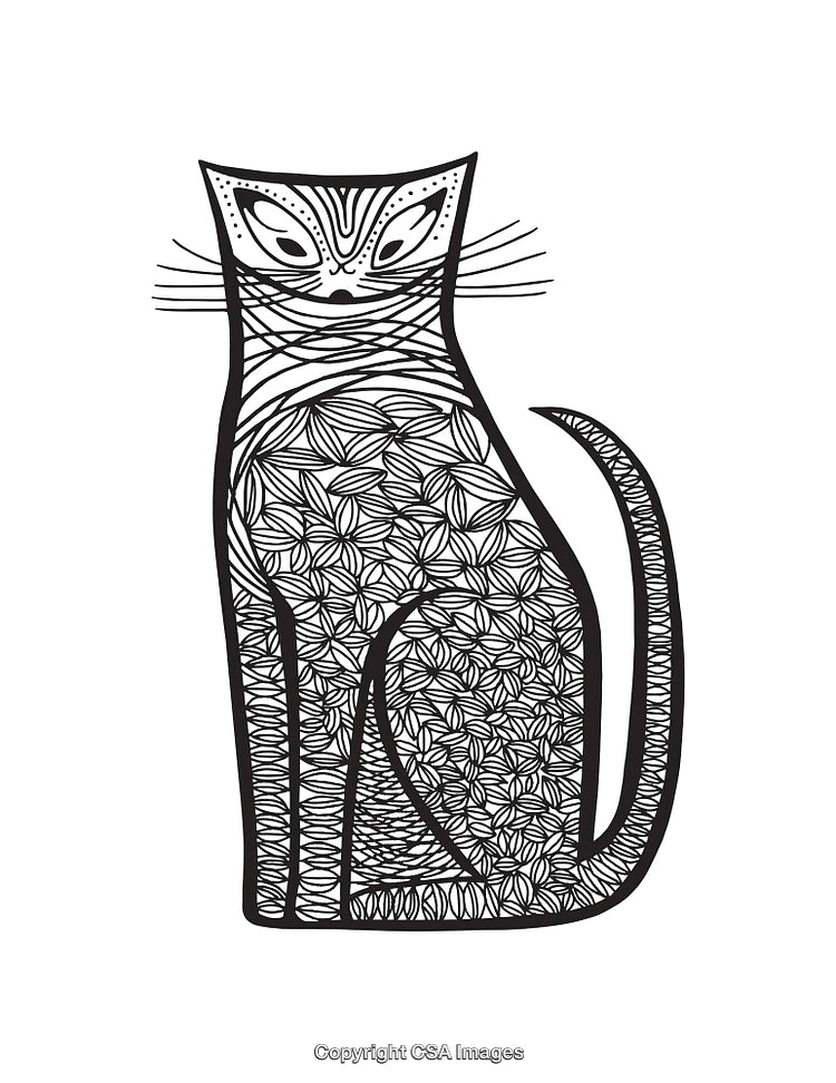 Intricate Black and White Line Art Illustration of a Cat