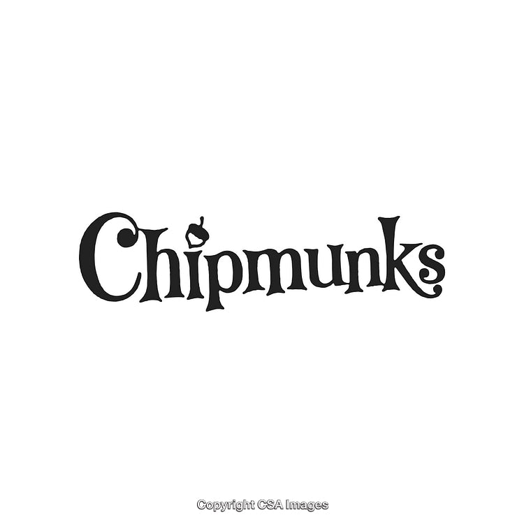 Creative Logo Design Featuring the Word 'Chipmunks' With Unique Typography