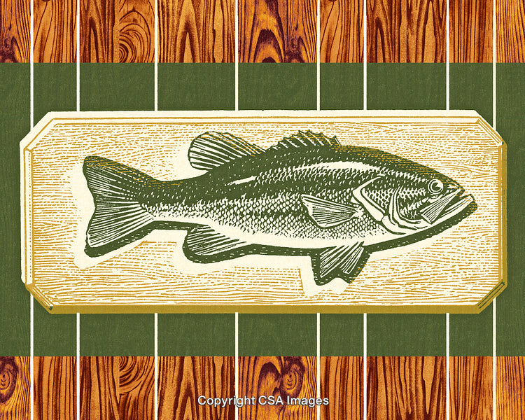 Vintage Engraved Fish Illustration on Wooden and Green Background