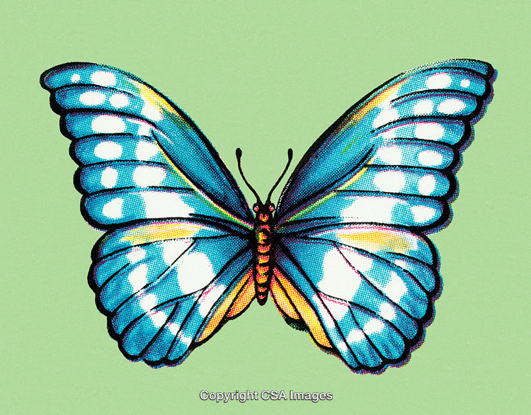 Vivid Illustration of a Vibrantly Colored Butterfly on a Green Background