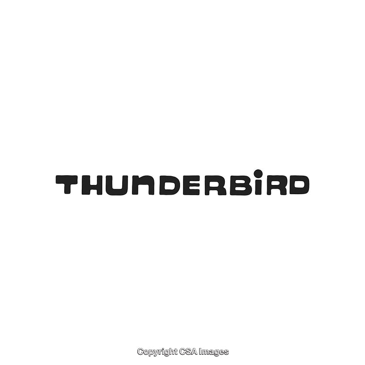 Stylized Thunderbird Logo With Unique Letter Design on White Background
