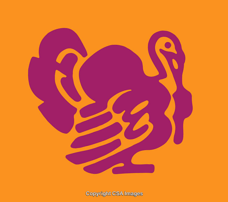 Vibrant Abstract Turkey Illustration in Purple and Orange