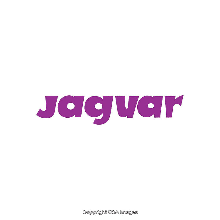 Bold Purple Jaguar Text Design on a White Background