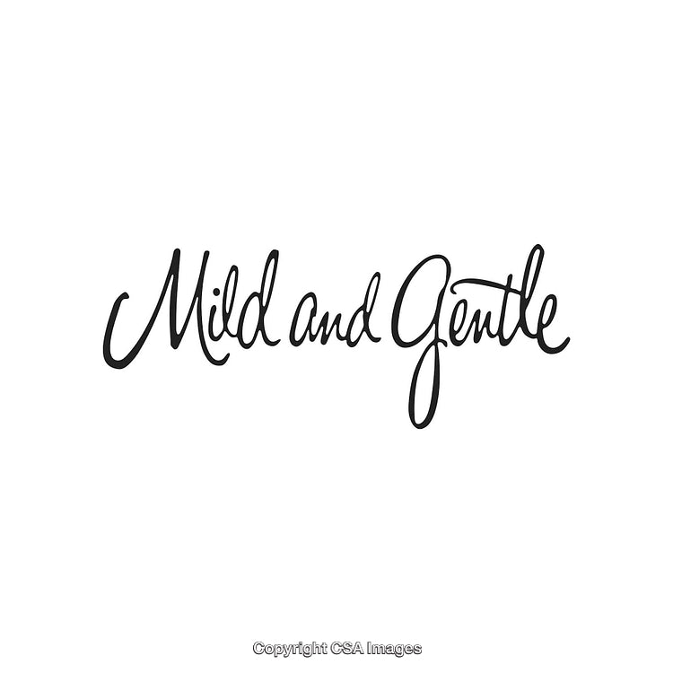 Elegant Handwritten Phrase 'Mild and Gentle' in Stylish Script Font