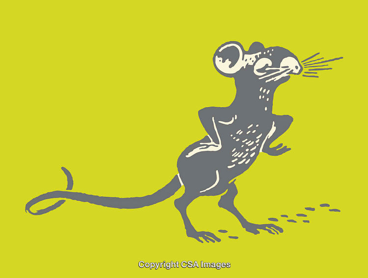 Colorful Line Art Illustration of a Cartoon Mouse on a Bright Background
