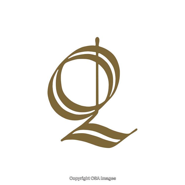 Stylized Artistic Representation of the Letter Q in Elegant Design