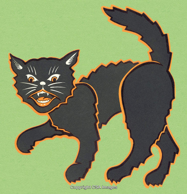 Vintage Style Black Cat Illustration With Green Background for Halloween Design