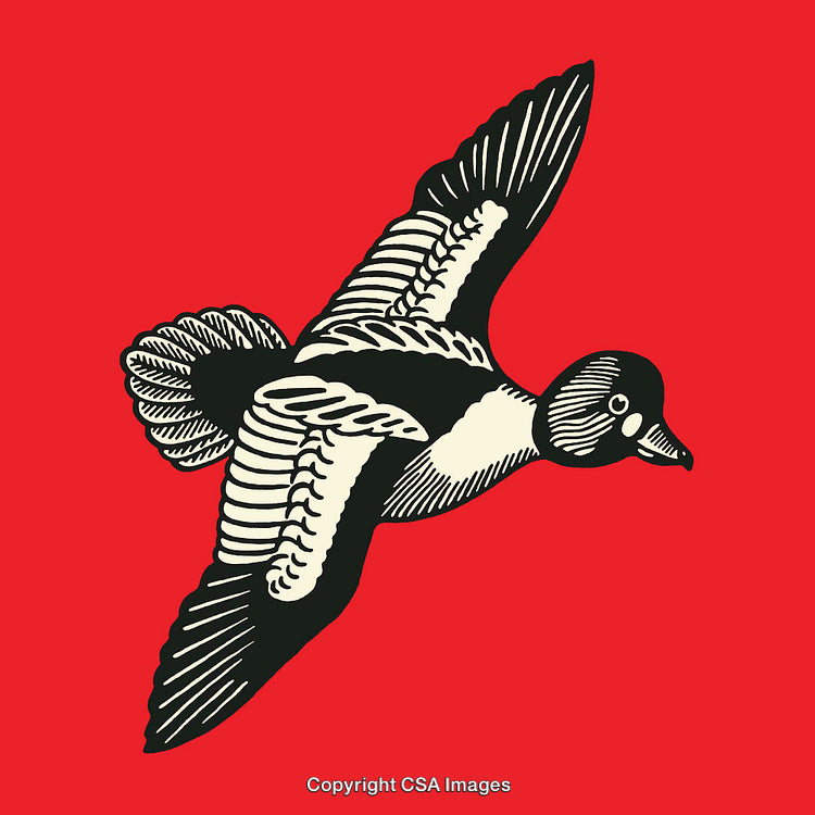 Bold Colorful Illustration of a Flying Bird on a Red Background