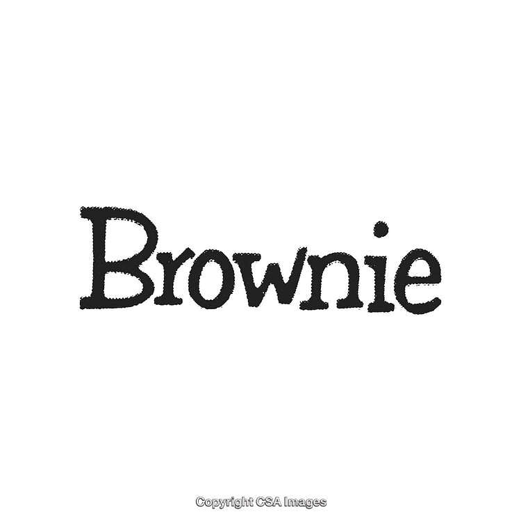 Brownie Script Typography in Bold Black Text Rendering on White Background
