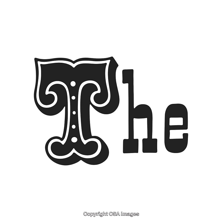 Elegant Black And White Ornamental Typeface Design Displaying the Word 'The'