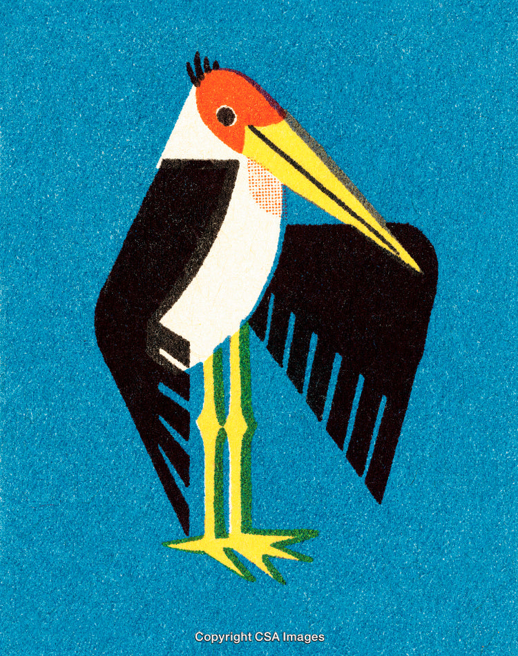 Illustration of a Vibrantly Colored Stork Bird Against a Blue Background