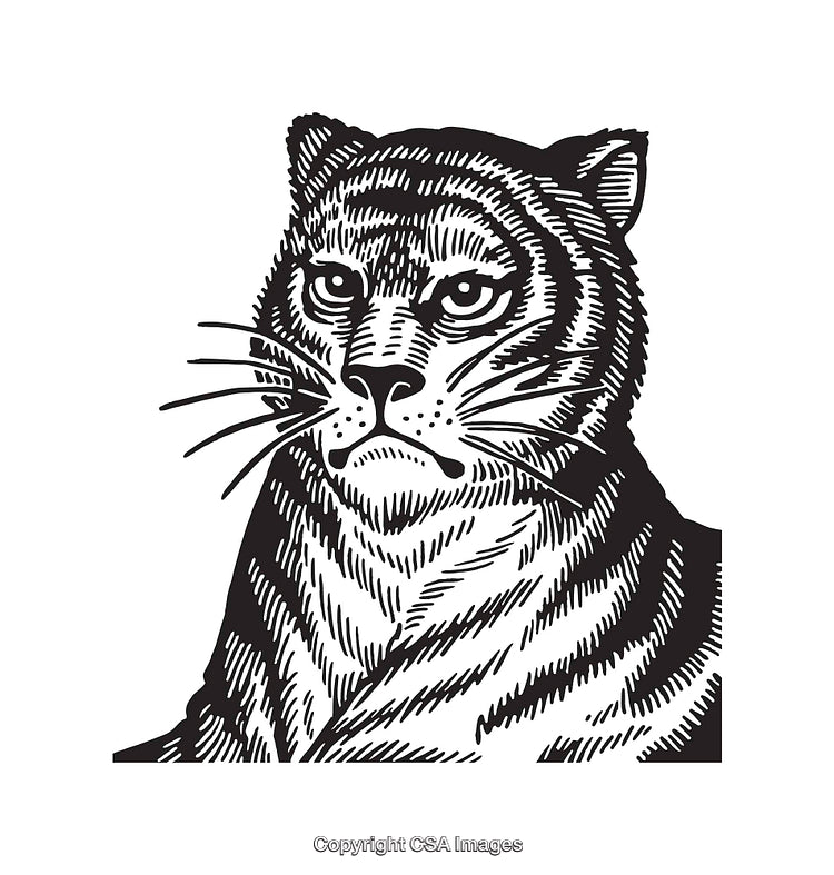 Black and White Detailed Tiger Line Art Illustration