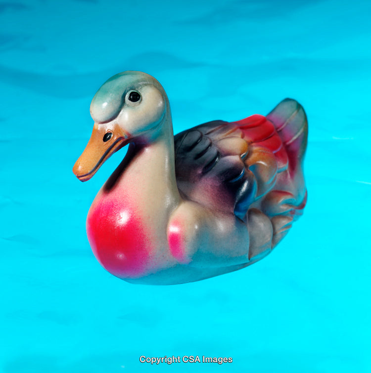 Colorful Plastic Duck Floating In Blue Water With Bright Background