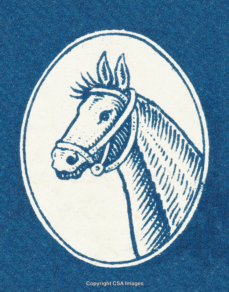 Vintage Drawing of a Horse Profile in Blue and White Style