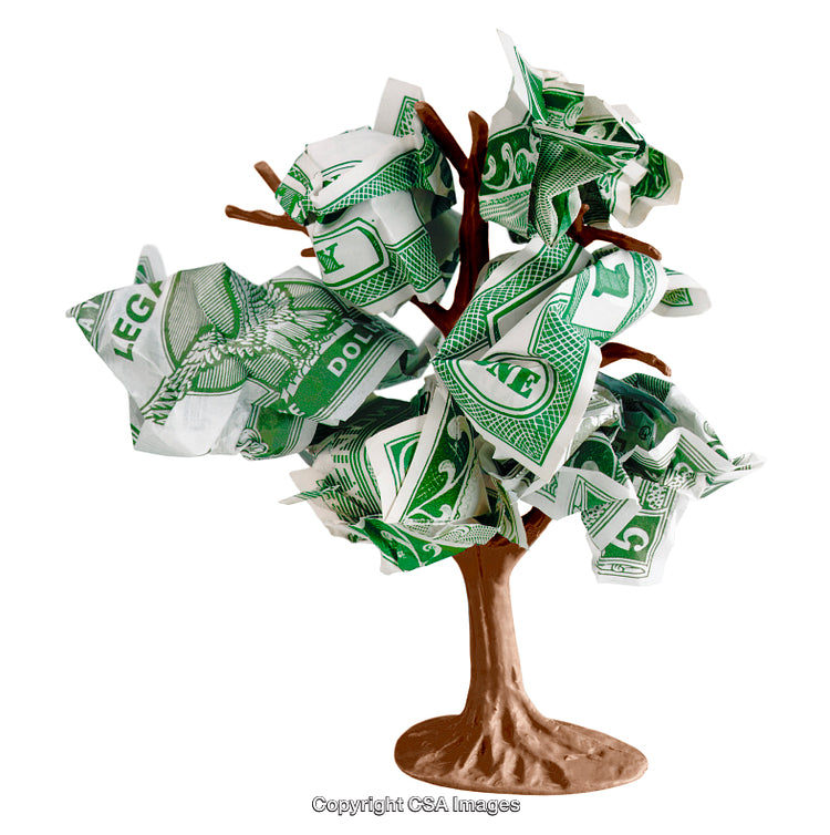 Creative Representation of a Money Tree with Dollar Bill Leaves
