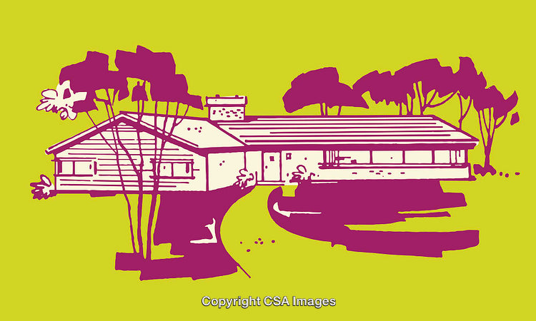 Colorful Line Art Illustration of a Modern Suburban House and Landscaping
