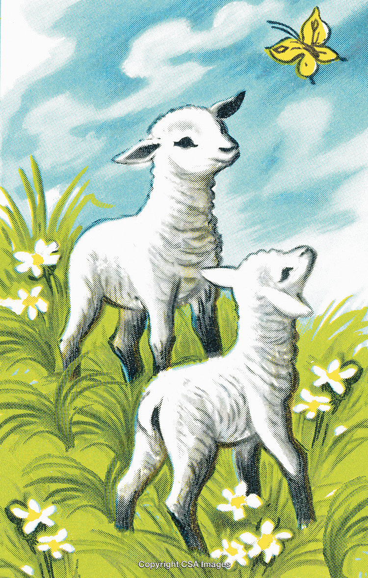 Two Lambs Enjoying Nature with a Butterfly in a Spring Meadow