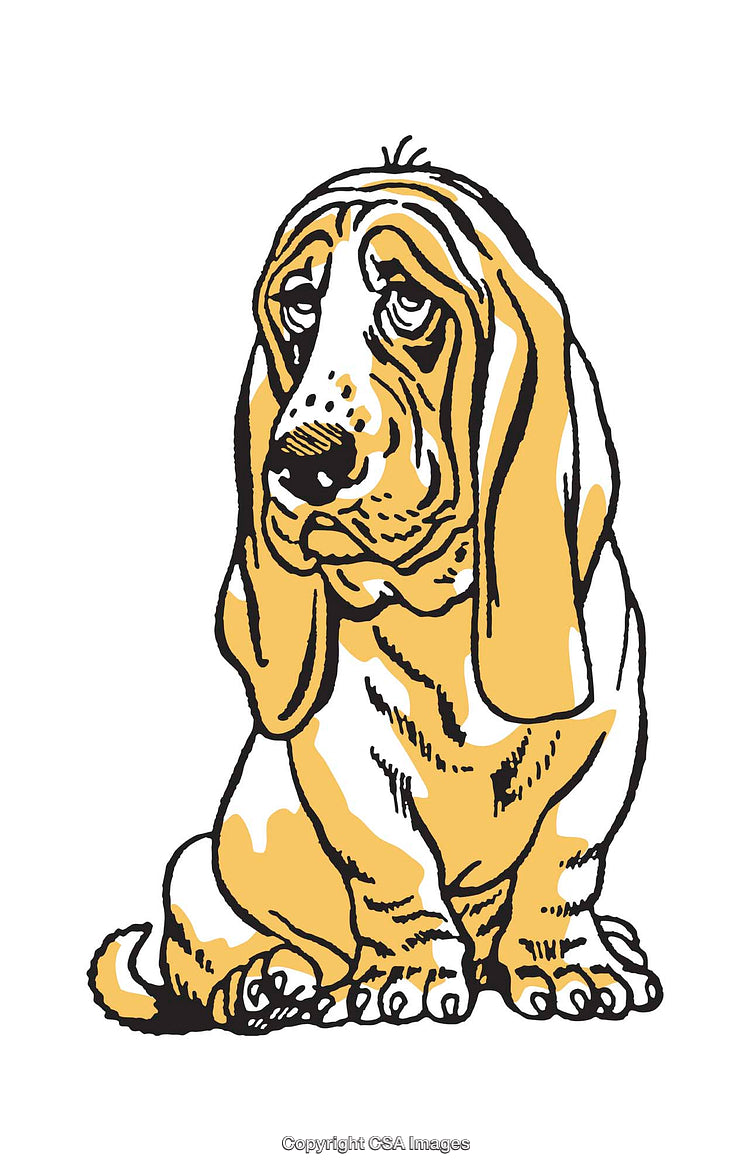 Illustrated Portrait of a Sad Basset Hound in Minimalistic Style