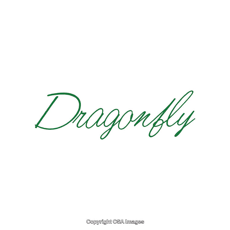 Elegant Green Handwritten Text Featuring 'Dragonfly' on White Background