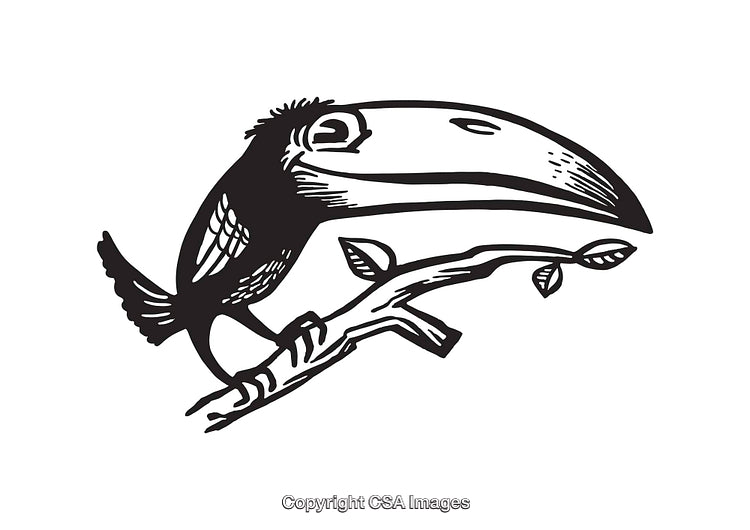 Black And White Line Art Illustration of a Bird Perched on a Branch