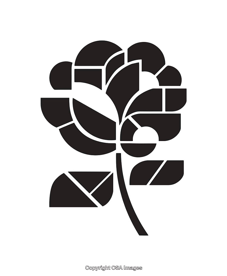 Abstract Black and White Floral Line Art Design