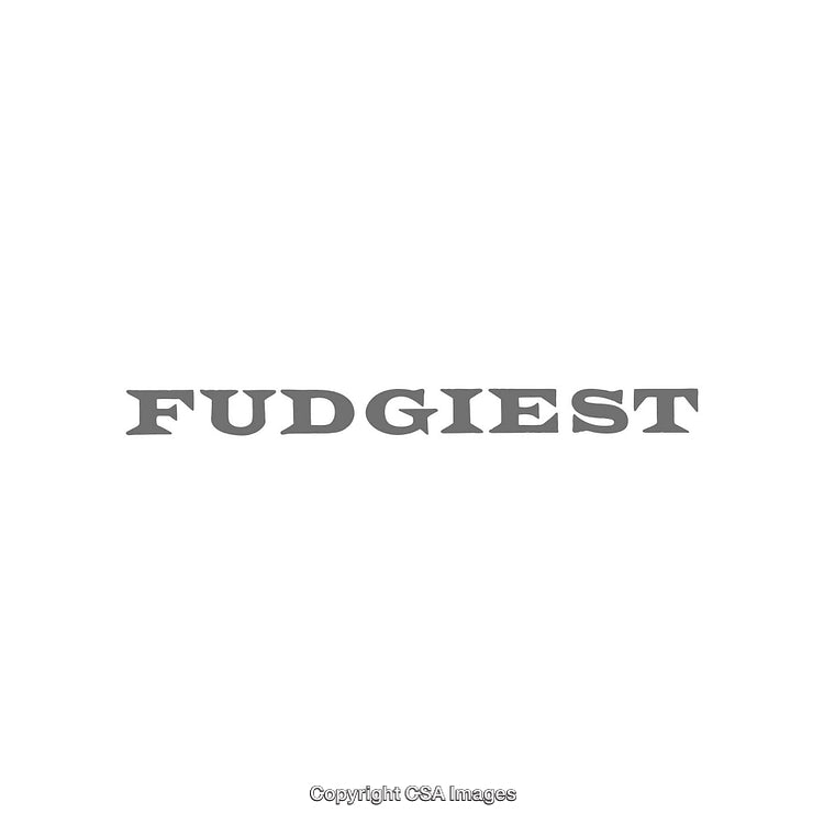 Minimalist Typography Featuring the Word 'Fudgiest' in Bold Styling