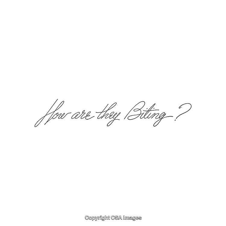 Elegant Script Text Asking About the Status of an Ongoing Activity