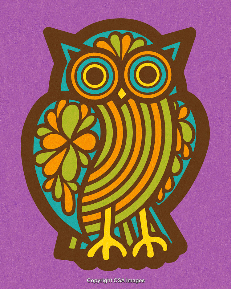 Colorful Geometric Owl Illustration with Retro Floral Patterns on Purple Background