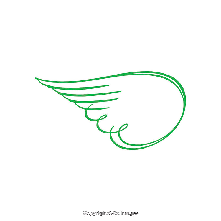 Green Wing Illustration With Curved and Intricate Artistic Line Pattern