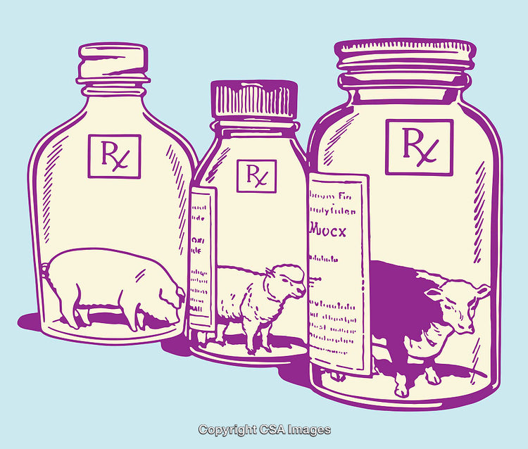 Colorful Line Art of Livestock in Prescription Bottles on Blue Background