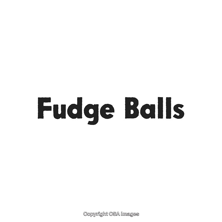 Fudge Balls Logo Text on Clean White Background