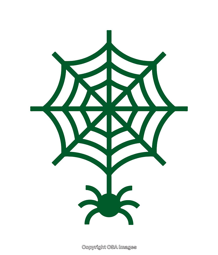 Green Minimalist Spider and Web Icon on White Background