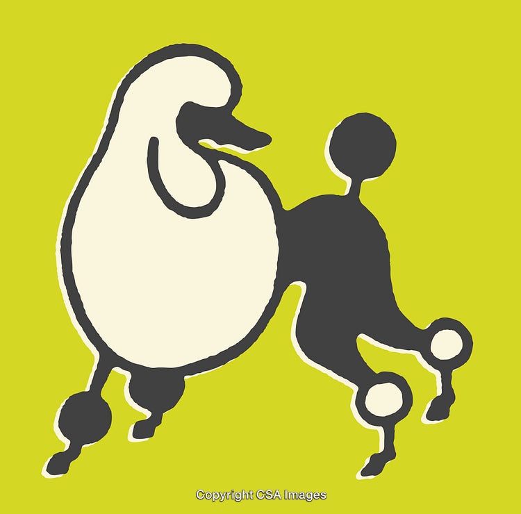 Stylized Line Art Illustration of Poodle Silhouette on Vibrant Green Background