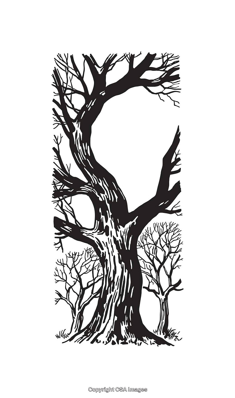 Black and White Line Art of Leafless Trees in Winter Forest Scene