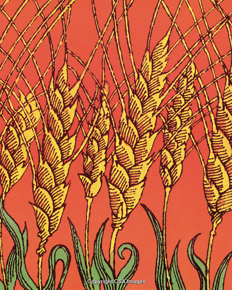 Bright Artistic Depiction of Wheat Stalks Over Vibrant Orange Background
