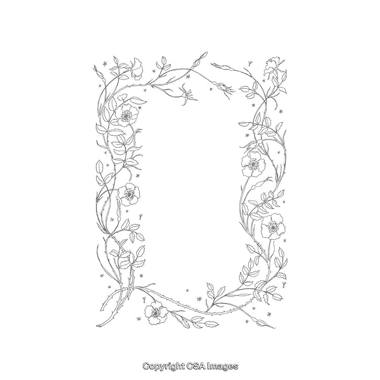 Elegant Black and White Floral Frame Design for Creative Projects and Invitations