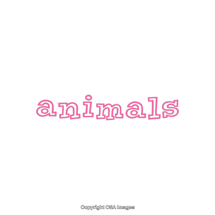 Pink Text Featuring the Word 'Animals' on a White Background