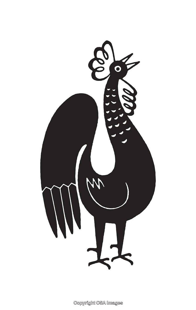 Black and White Rooster Illustration in Artistic Line Art Style