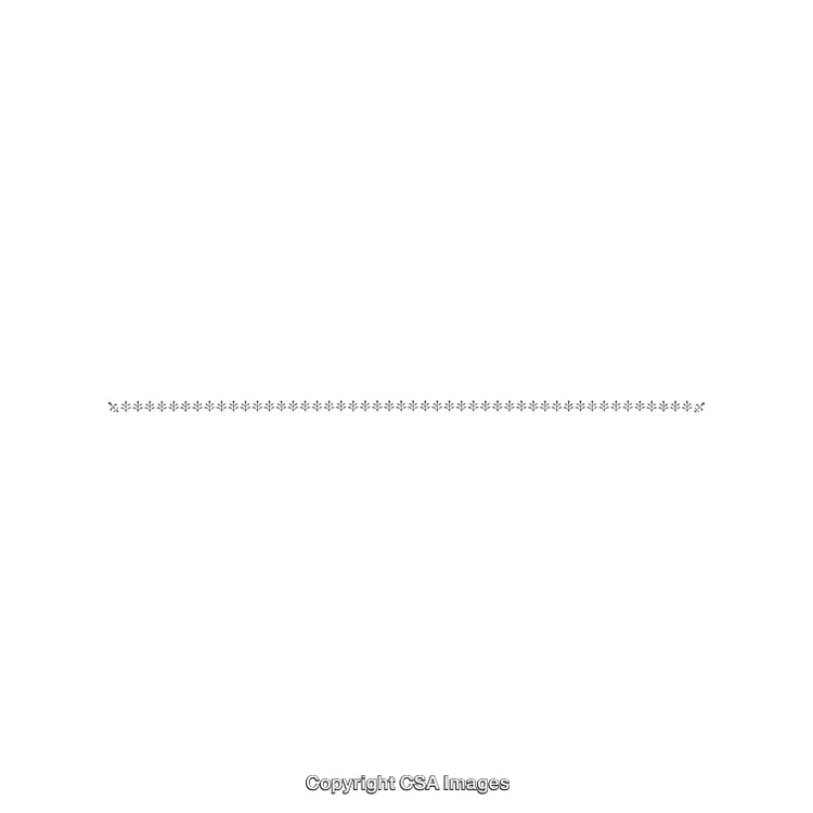 Minimal Horizontal Decorative Line Composed of Intricate Star Patterns on White