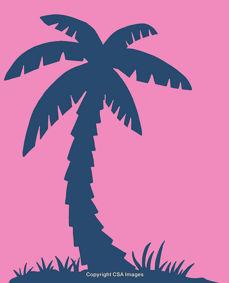 Silhouette of a Palm Tree on a Vibrant Pink Background
