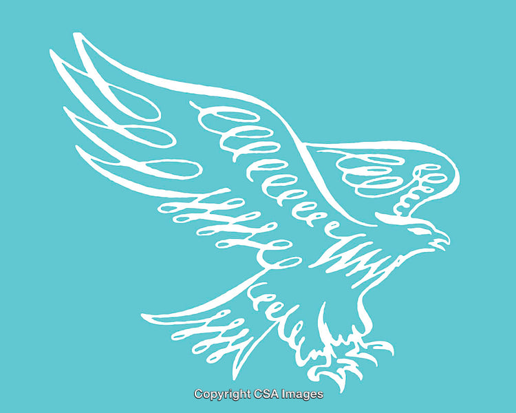 Stylized Line Art Illustration of a Flying Bald Eagle on Blue Background