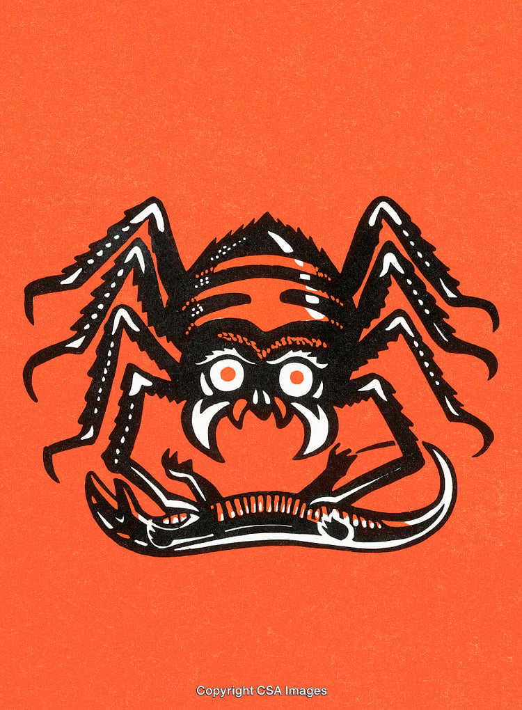 Illustration of a Spider and Scorpion Motif on an Orange Background