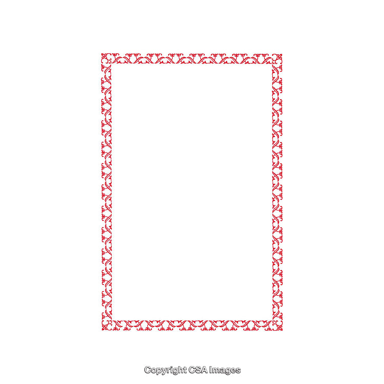 Elegant Red Border With Floral Design on White Background
