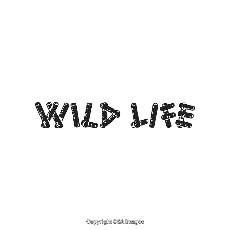 Stylized Wild Life Print with Abstract Organic Design in Black on White