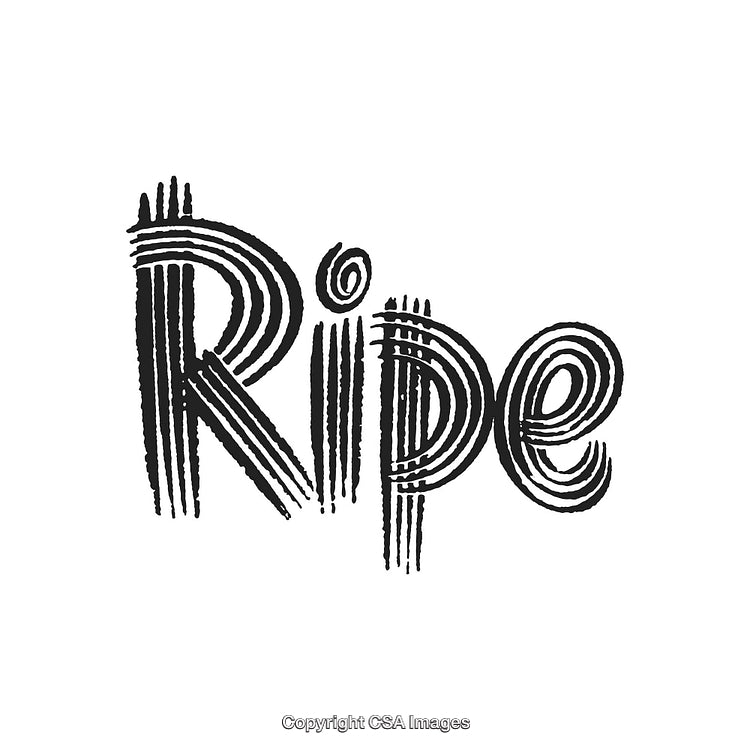 Stylish Handwritten Ripe Typography in Bold Black and White Design