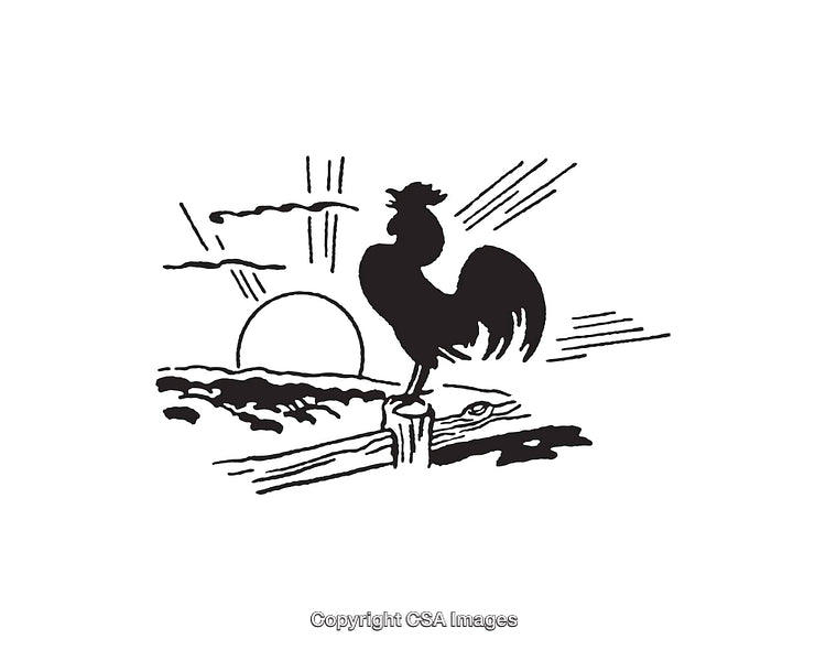 Black-and-White Line Art of a Rooster Crowing with Rising Sun
