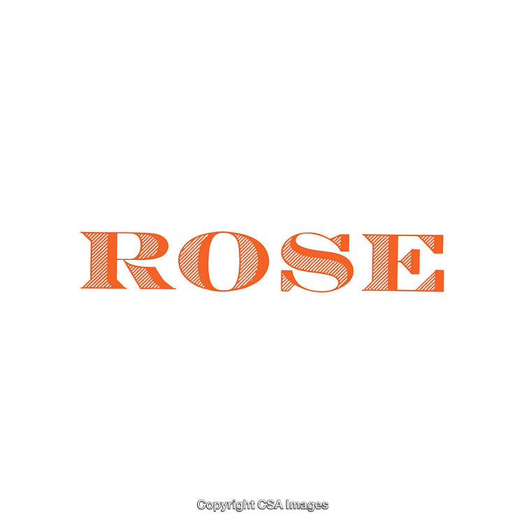 Stylized Text Illustration Featuring the Word Rose in Orange Typography