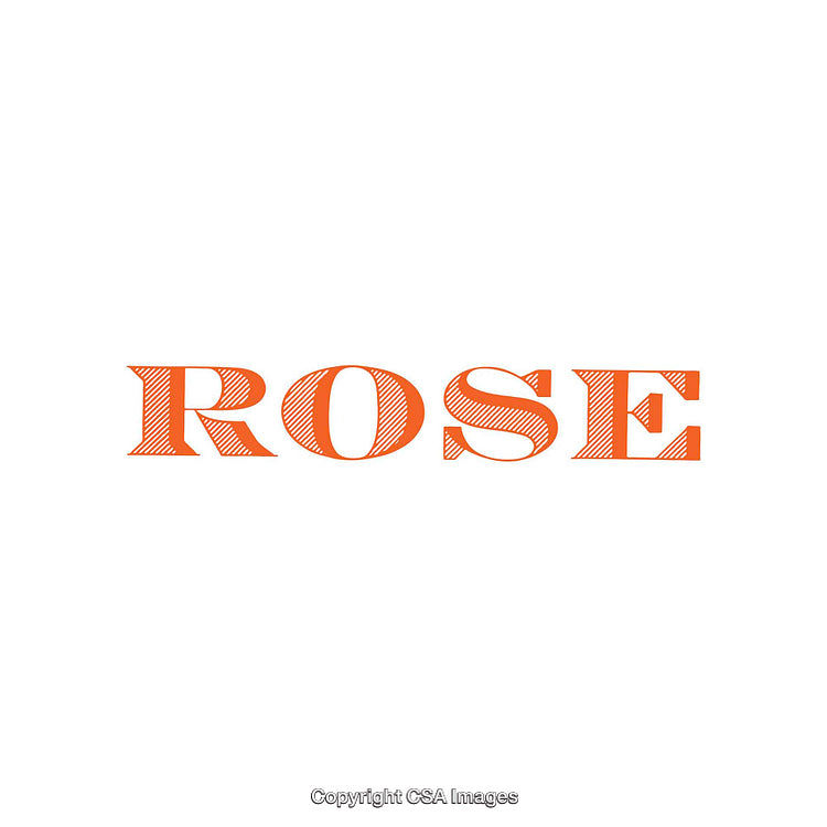 Stylized Text Illustration Featuring the Word Rose in Orange Typography