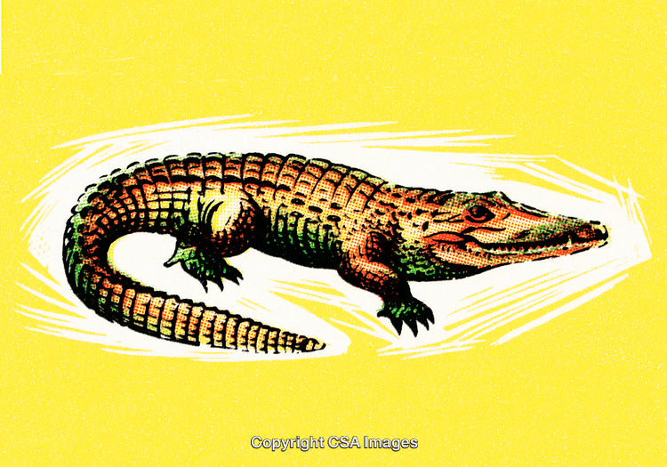 Illustration of a Crocodile on a Bright Yellow Background
