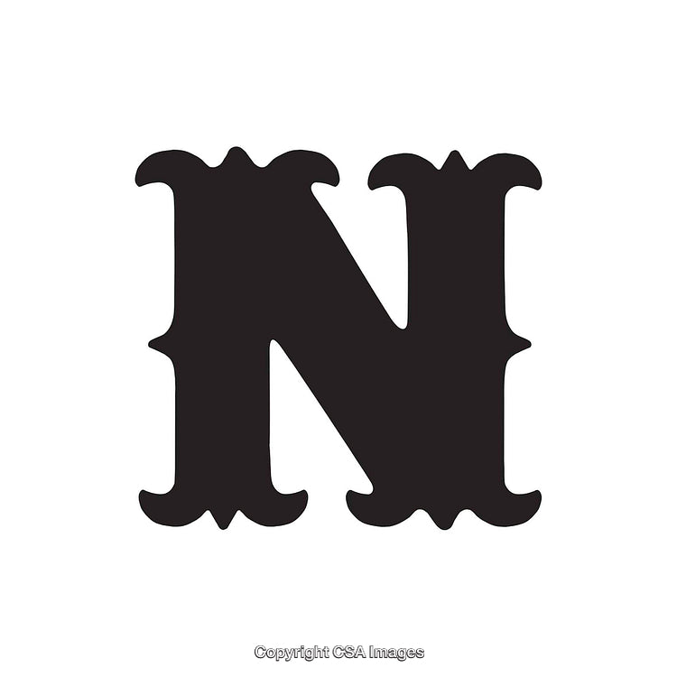 Stylish Decorative Letter N in Bold Black Design on White Background